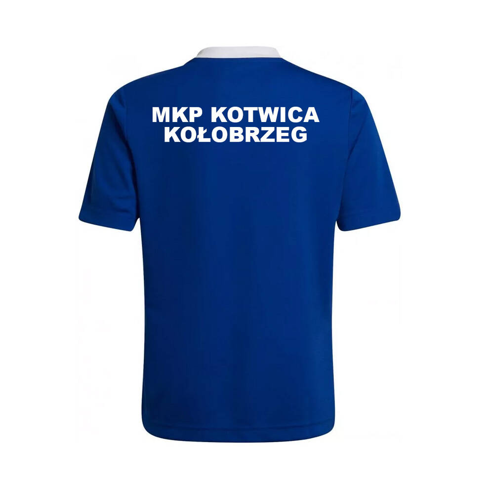 adidas Kotwica Męska koszulka 5