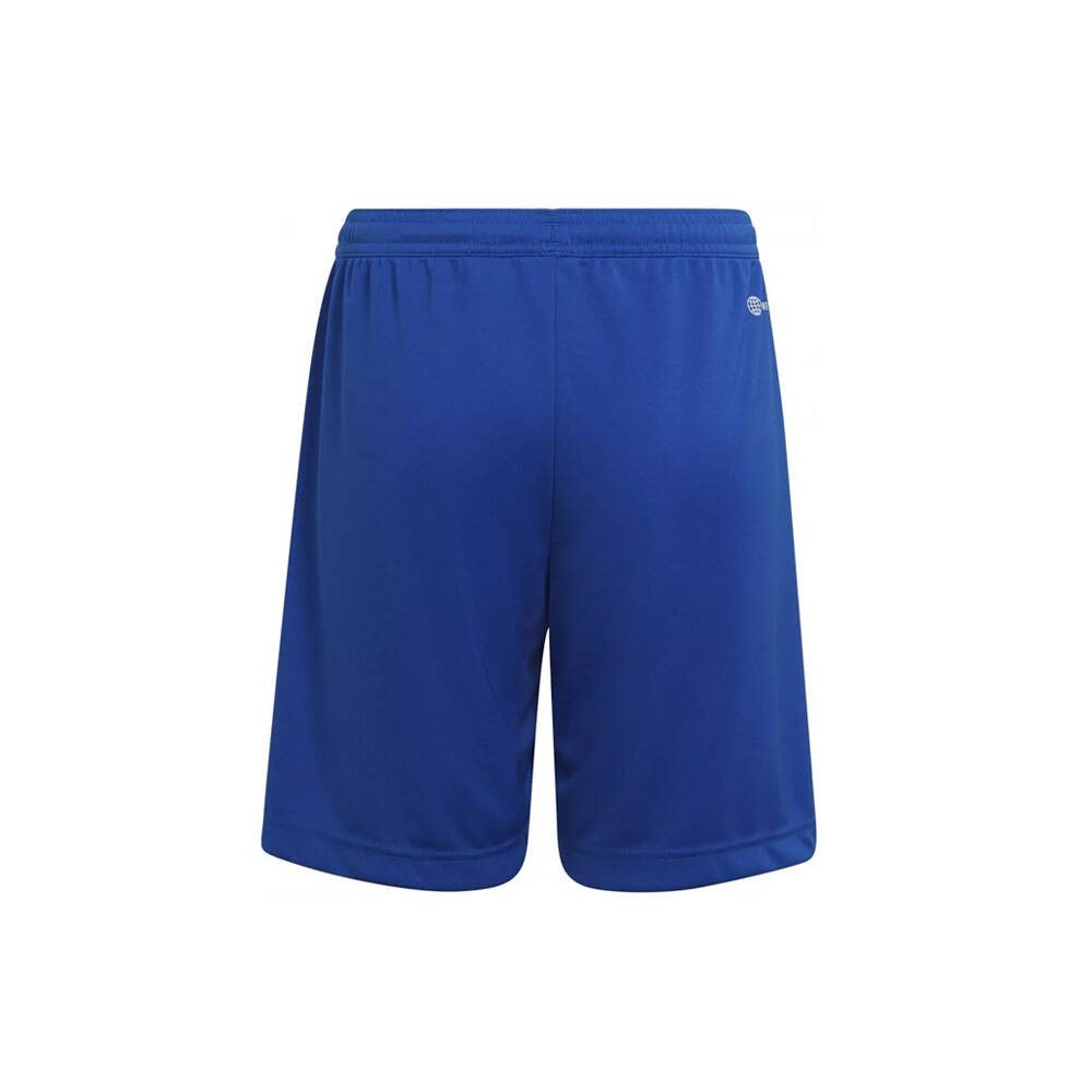 adidas MKS Kotwica juniorskie spodenki domowe