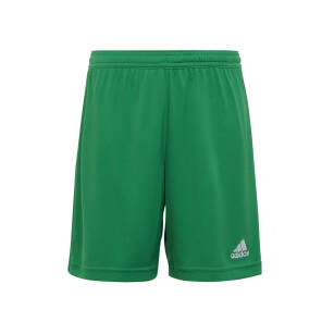 adidas Piast spodenki Junior zielone